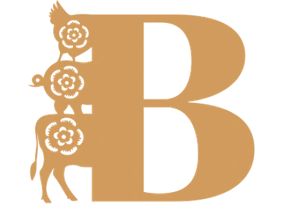 Borruto Carni
